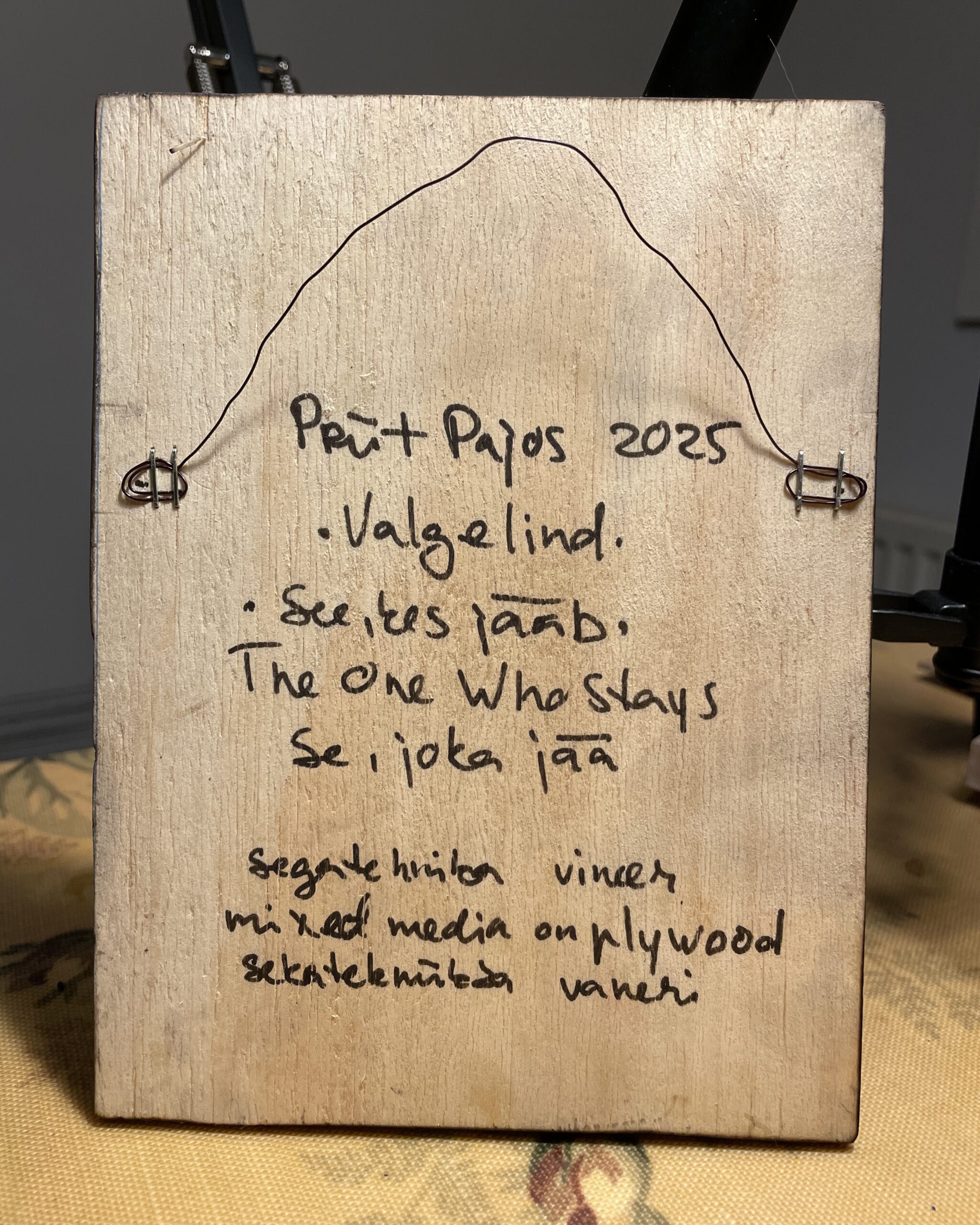 VALGELIND - THE ONE WHO STAYS - Image 6