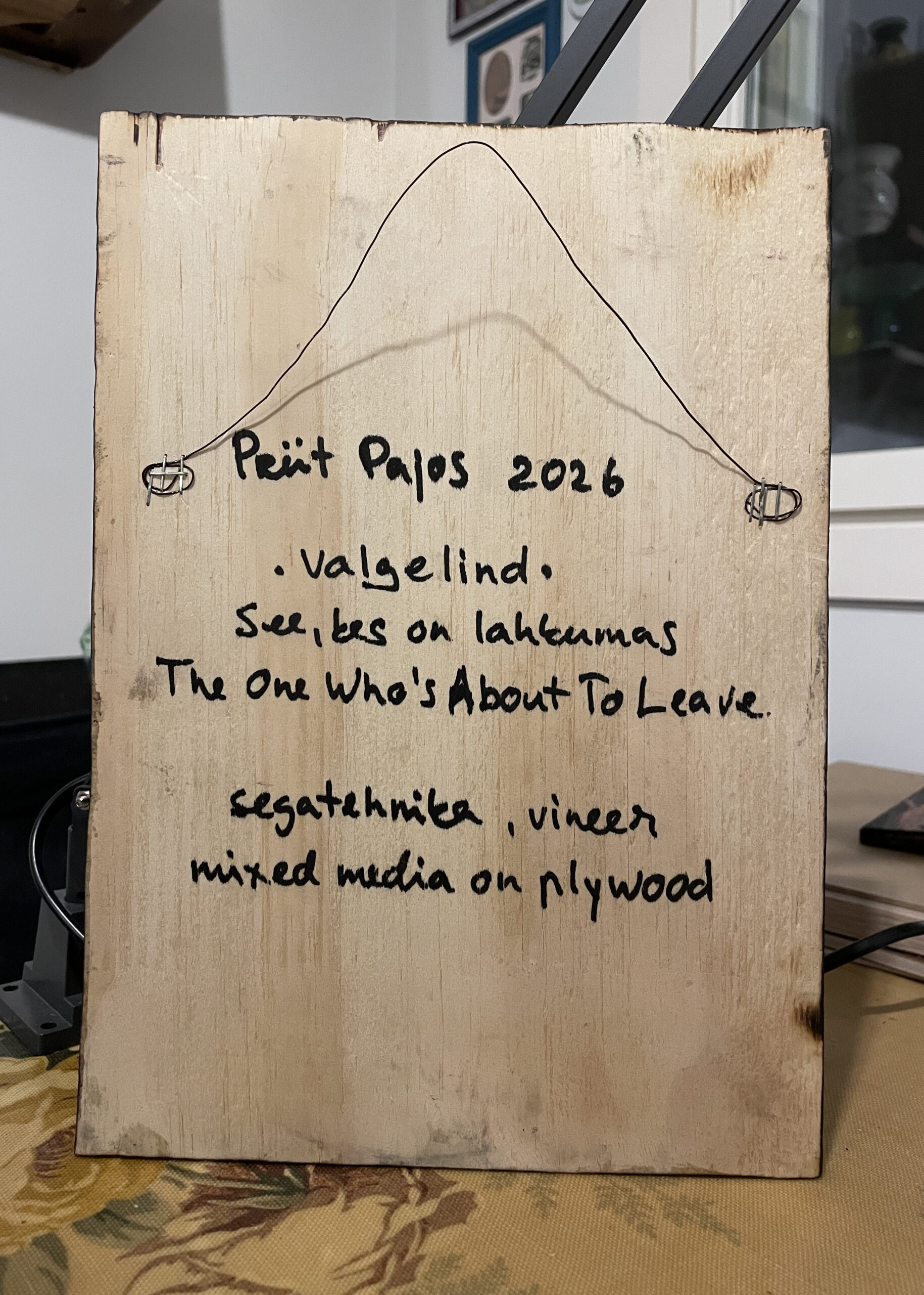 VALGELIND - THE ONE WHO`S ABOUT TO LEAVE - Image 5